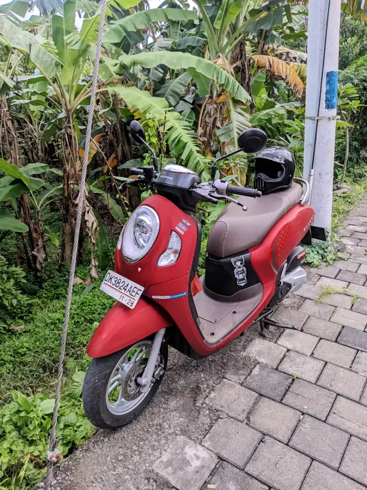 Scoopy prastige 2024