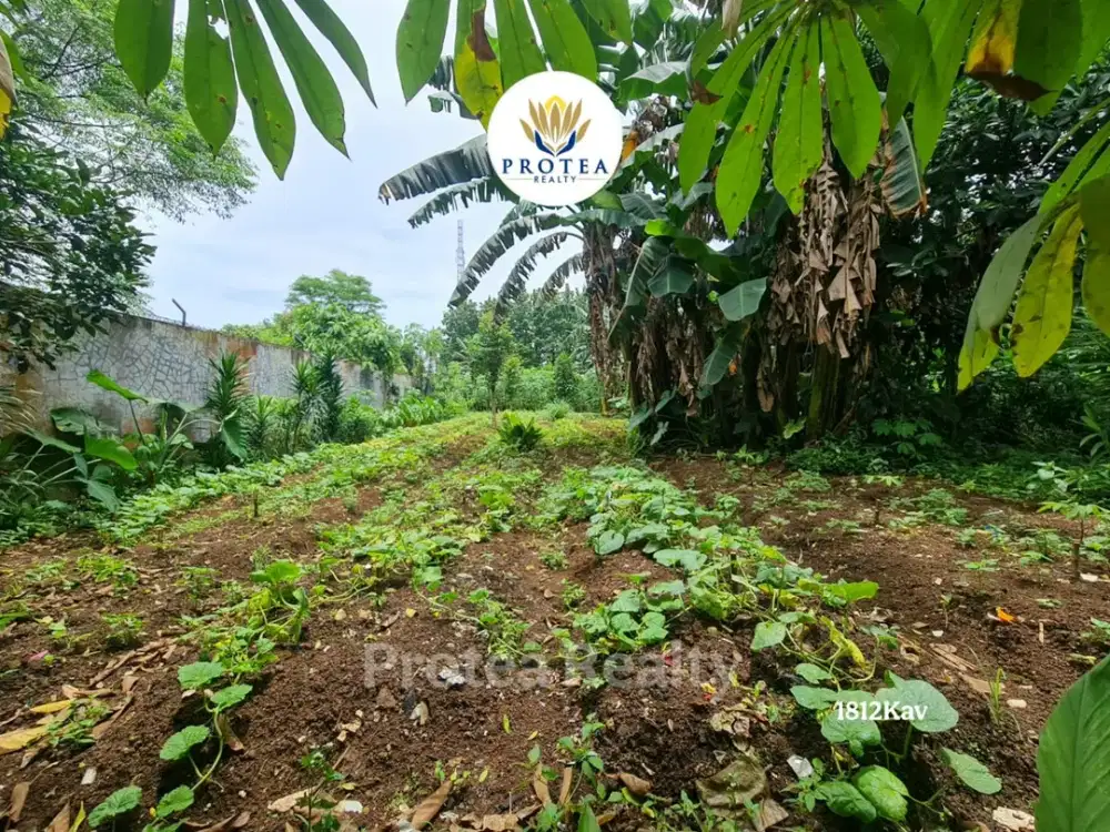 DIJUAL TANAH DEKAT BSD