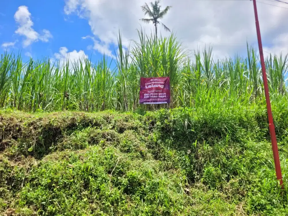 Tanah Strategis dan Murah di Kawasan Tumpang, Malang dekat dengan Bromo Transit Park Tumpang