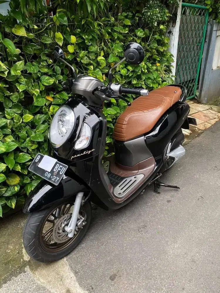 Scoopy Prestige