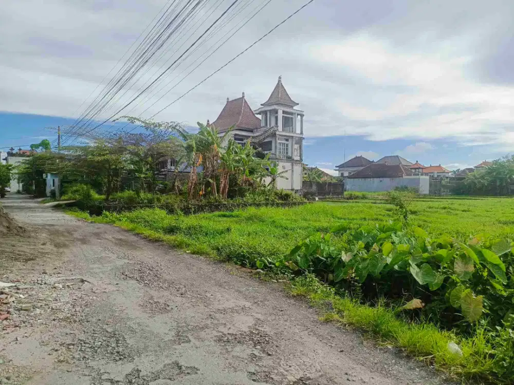 termurah!! jl trengguli 20 are  pelatih denpasar timur