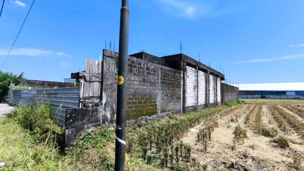 Bangunan dan Sawah disewakan