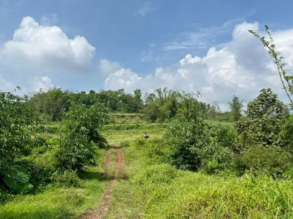 Tanah Kavling Murah Malang – 8 Menit dari Alun-Alun Kota Malang