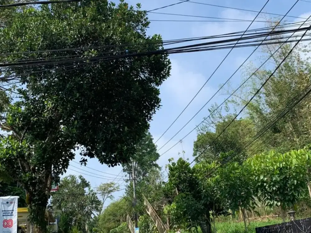 Kesempatan Emas! Villa Dekat Jatim Park 3 dengan View Menarik