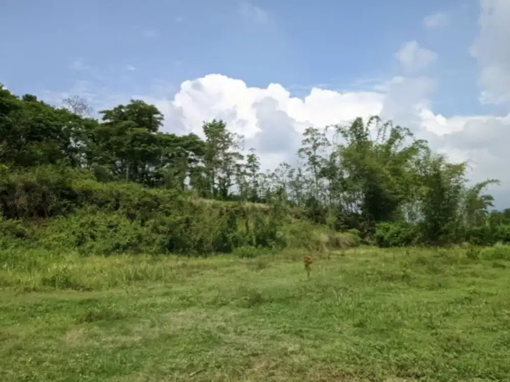 Tanah Strategis di Kawasan Pendidikan, Cocok untuk Investasi