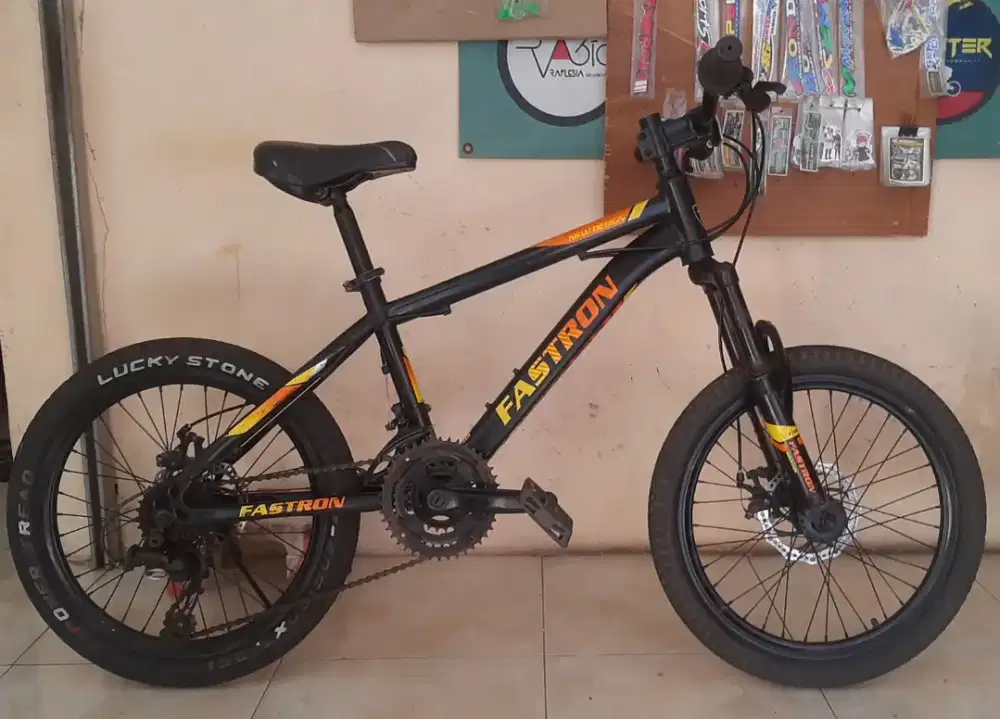 Sepeda Gunung Fastron 20 Mantab