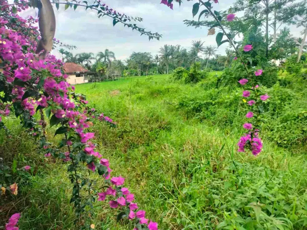 tanah di jual di ubud