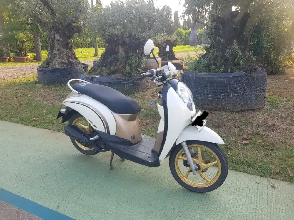 Honda Scoopy 2011