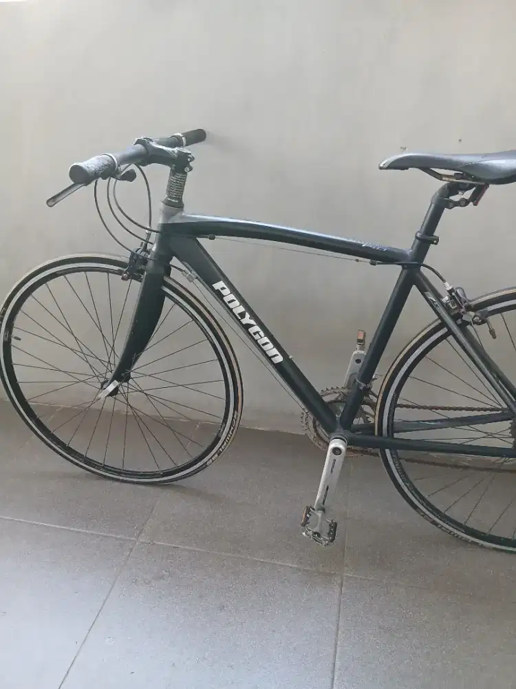 Polygon helios F 1.0