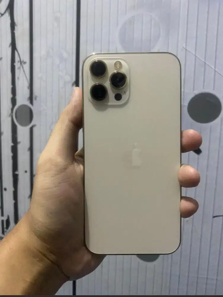 iPhone 12 PRO MAX 128gb Beacukai