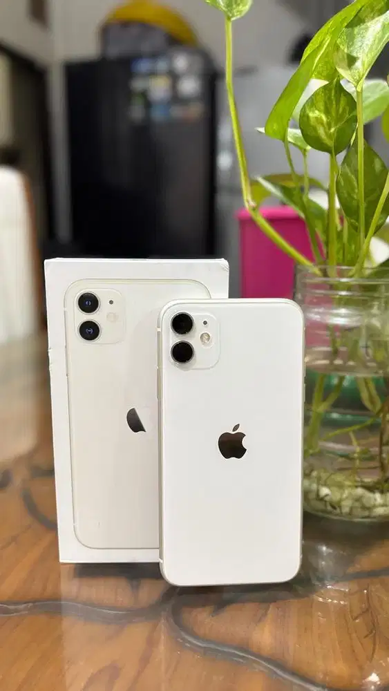 iphone 11 64 GB IBOX