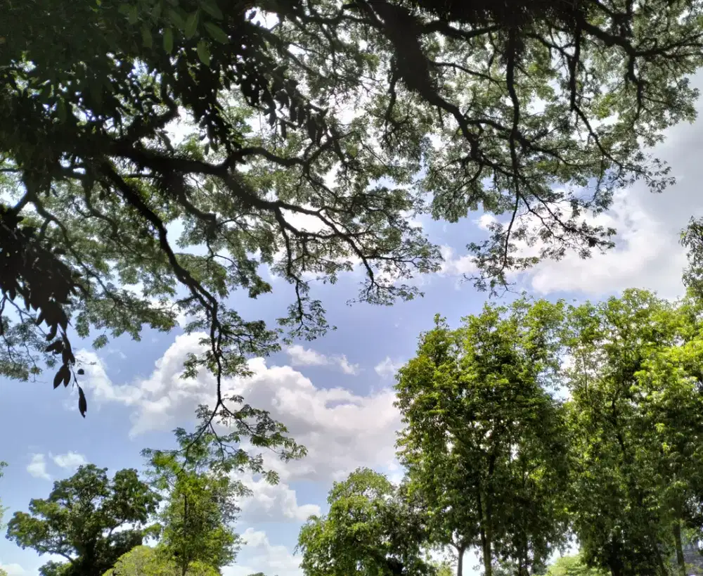 Dibutuhkan/Lowongan Kerja