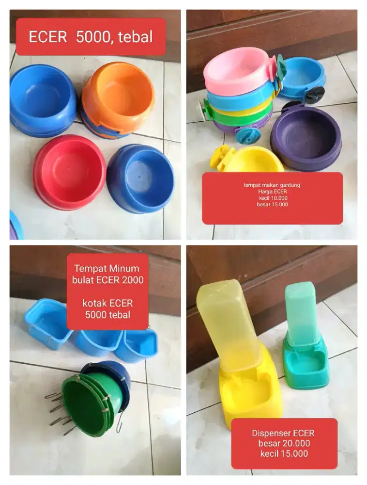 Tempat makan minum dispenser kucing