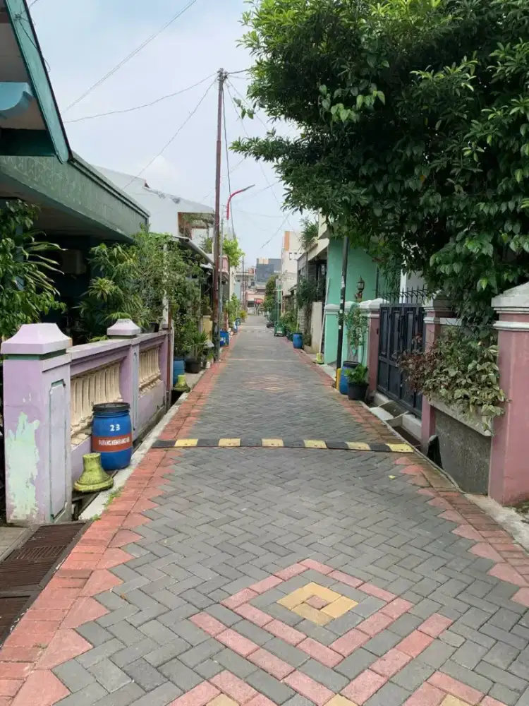 Dijual kost aktif 2 lantai di Tlogosari kulon Pedurungan