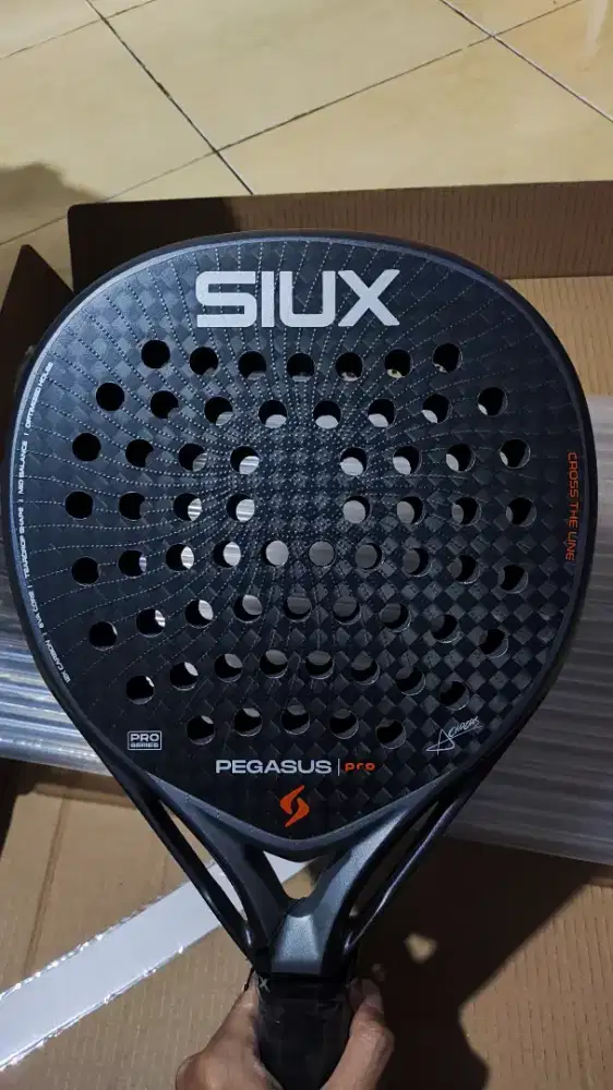 Siux pegasus pro 2026