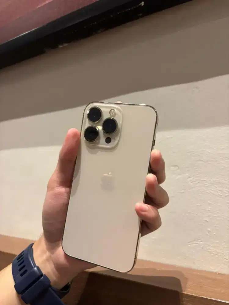 iPhone 13 Pro 256GB Beacukai