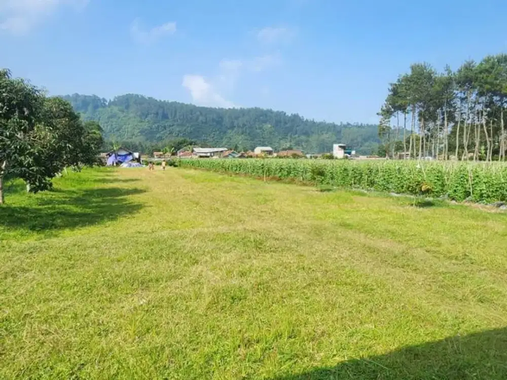 Tanah Maribaya Lembang Cocok untuk Villa atau Berkebun