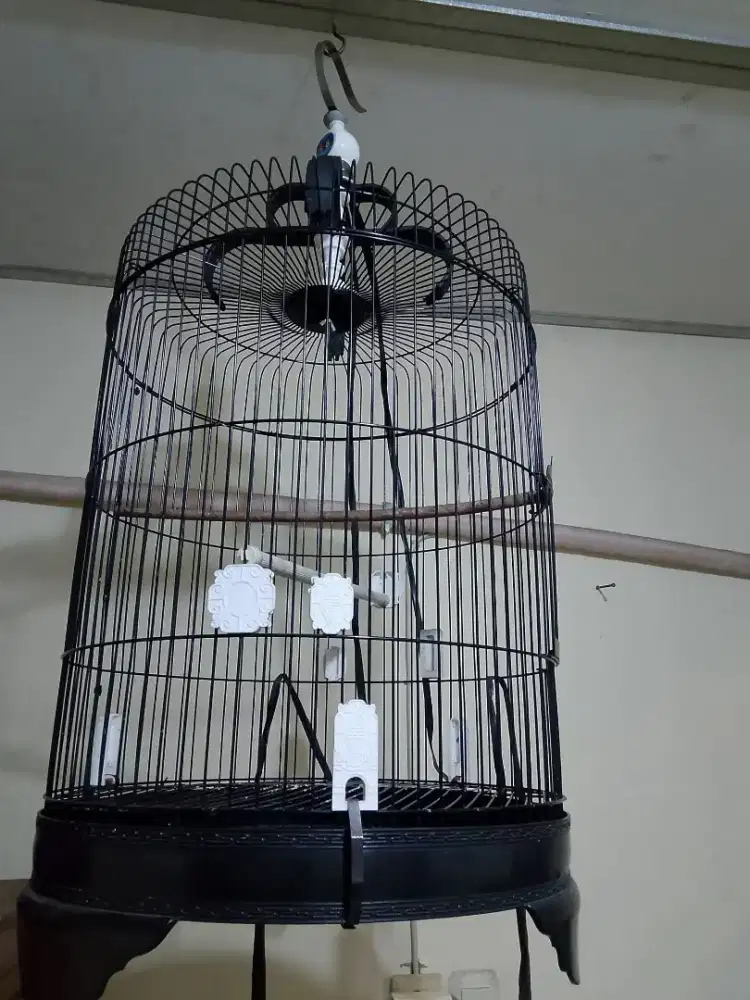 Kandang LB jumbo dm 42 masih kinclong