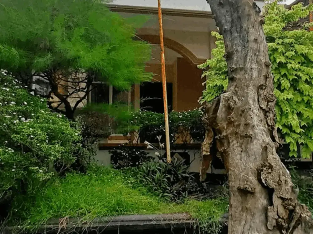 Rumah Siap Huni Nyaman Dan Asri Di Cluster Meadow Green