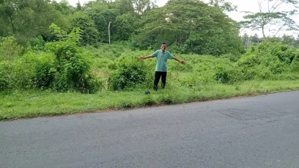 Jual tanah di Sanden Btl