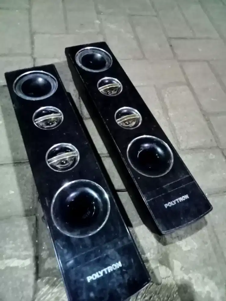 Speaker pasif polytron