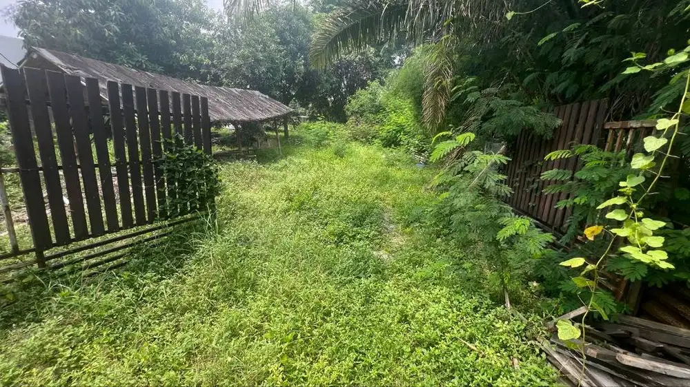 Jual Tanah 3300m2 Jalan Raya Mandor Demong Bekasi