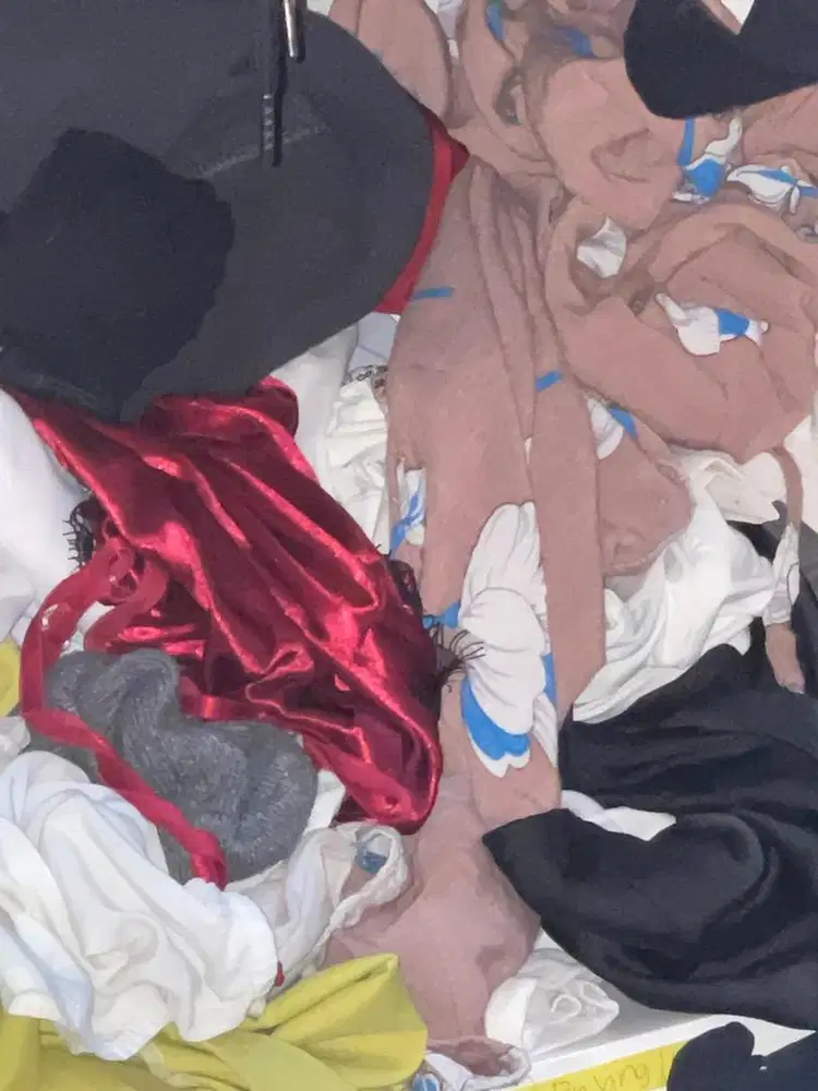 Setrika uap laundry kiloan