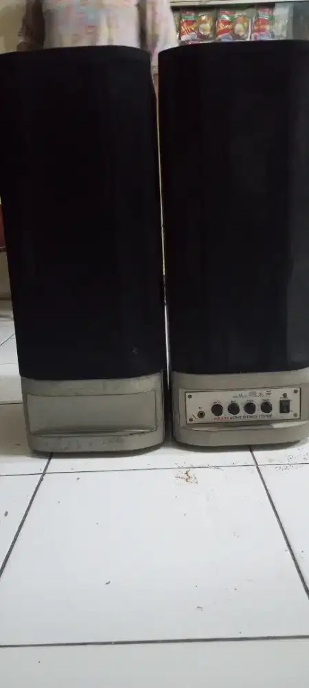 Speaker pasif suround