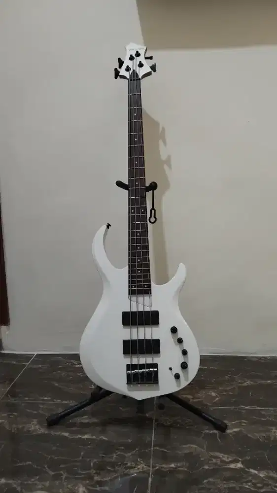 Bass Marcus Miller m2, Mulussss