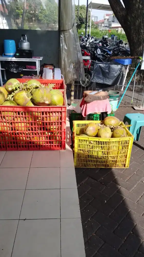 Kelapa muda dan hijau