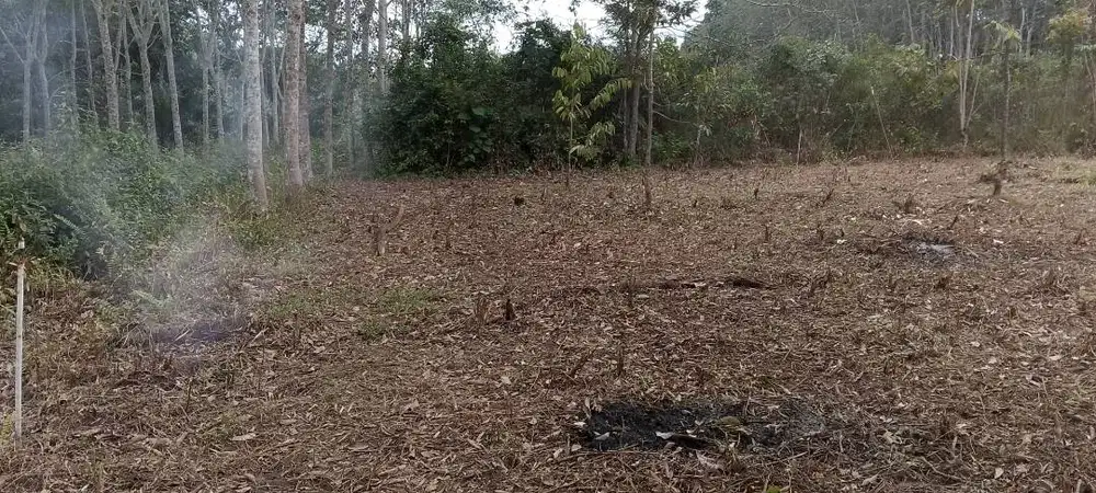 Tanah Di Jual Sertifikat SHM Pribadi