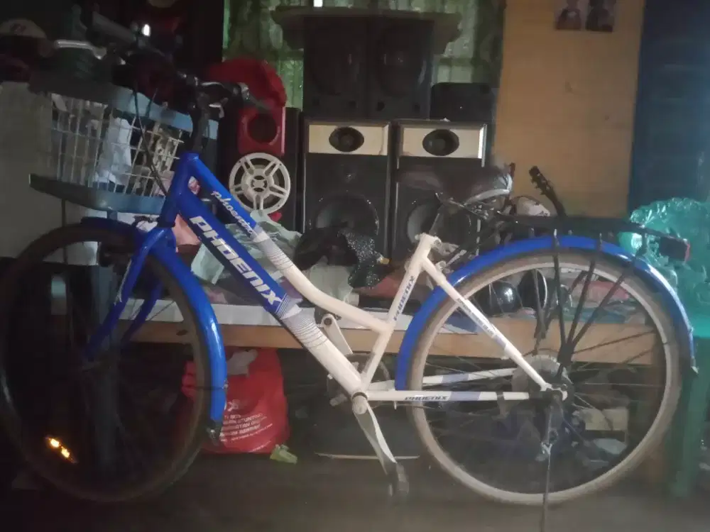 Phonek speda ukuran 26