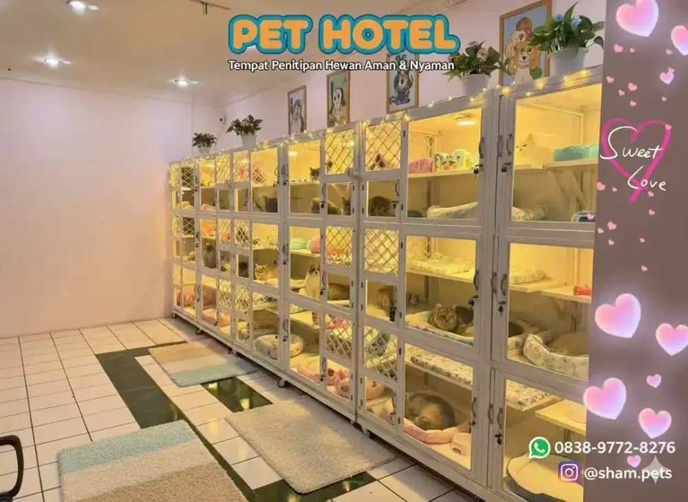 Pet hotel penitipan kucing kelinci