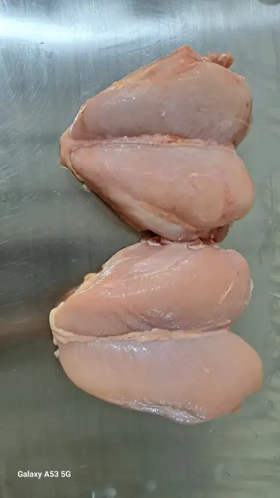 DICARI CEPAT ADMIN PEMOTONGAN AYAM