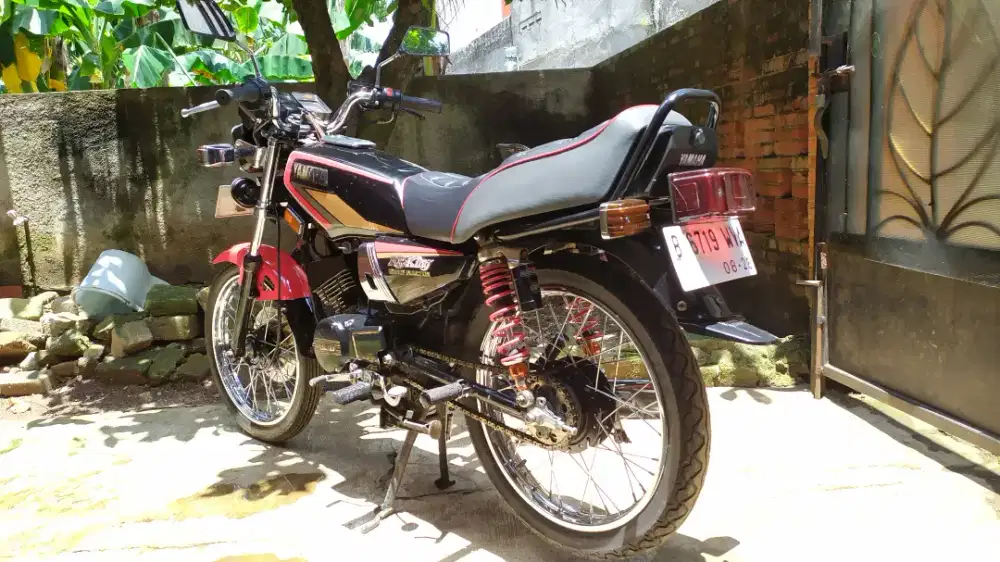 BISMILLAH BIIZNILLAH FOR SALE KING COBRA