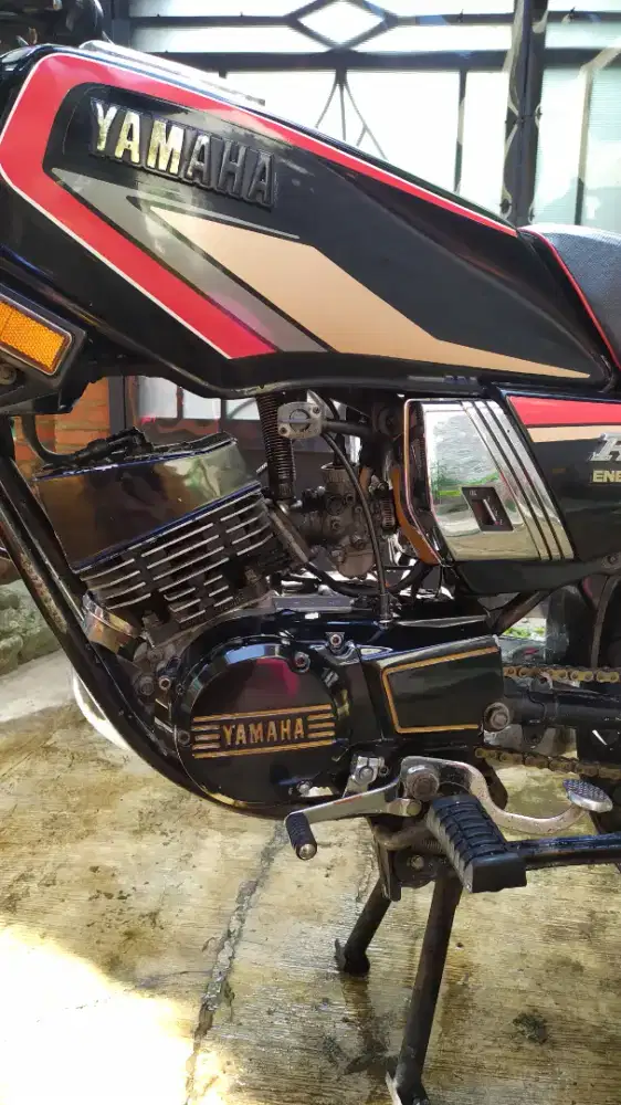 BISMILLAH BIIZNILLAH FOR SALE KING COBRA