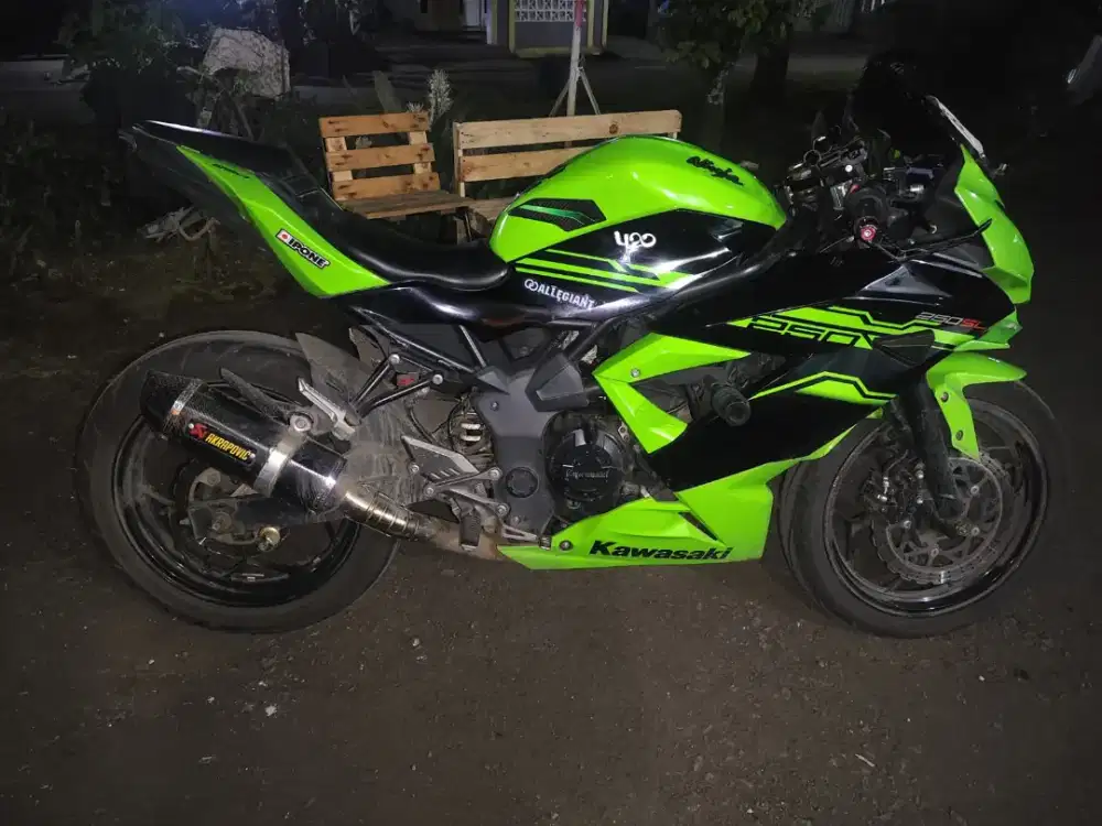 Ninja 250 Mono / Ninja 250SL 2017