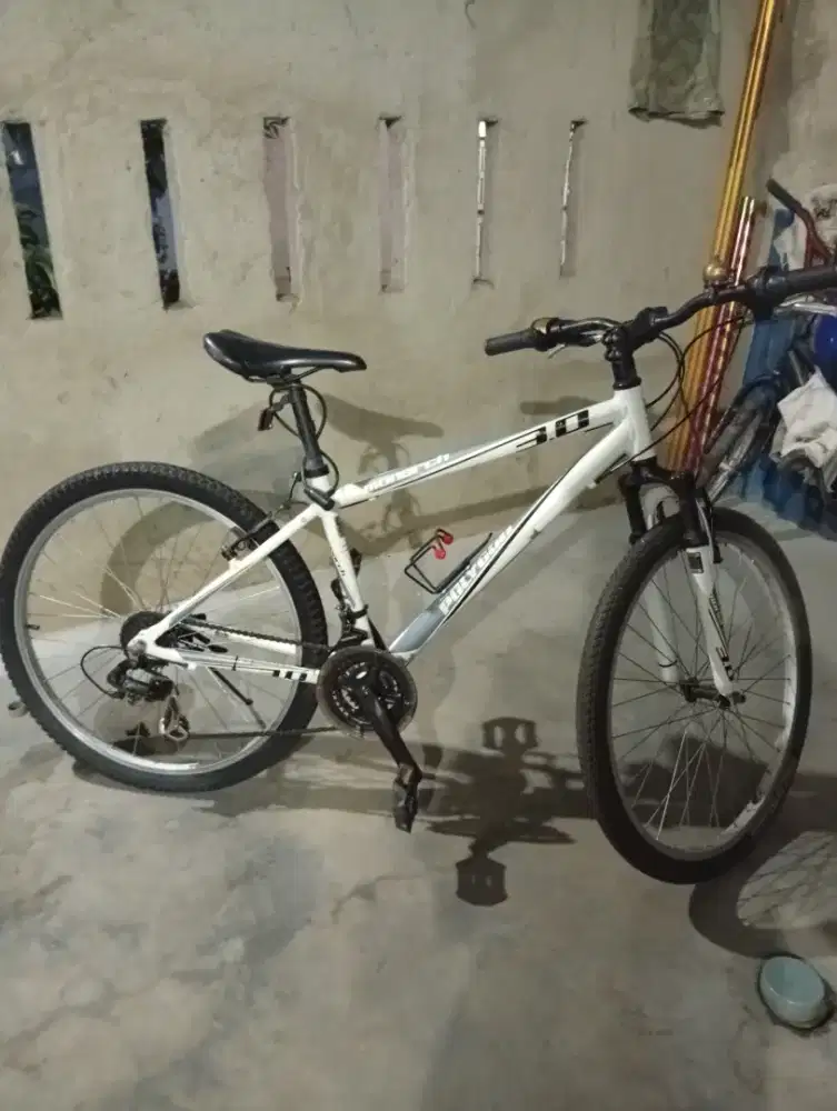 SEPEDA POLYGON MONARCH 3.0