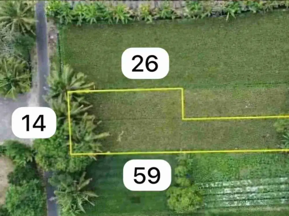 TANAH BAGUS MURAH STRATEGIS DEKAT TENGKLENG GAJAH JL.KALIURANG KM 9 SINDUHARJO NGAGLIK SLEMAN