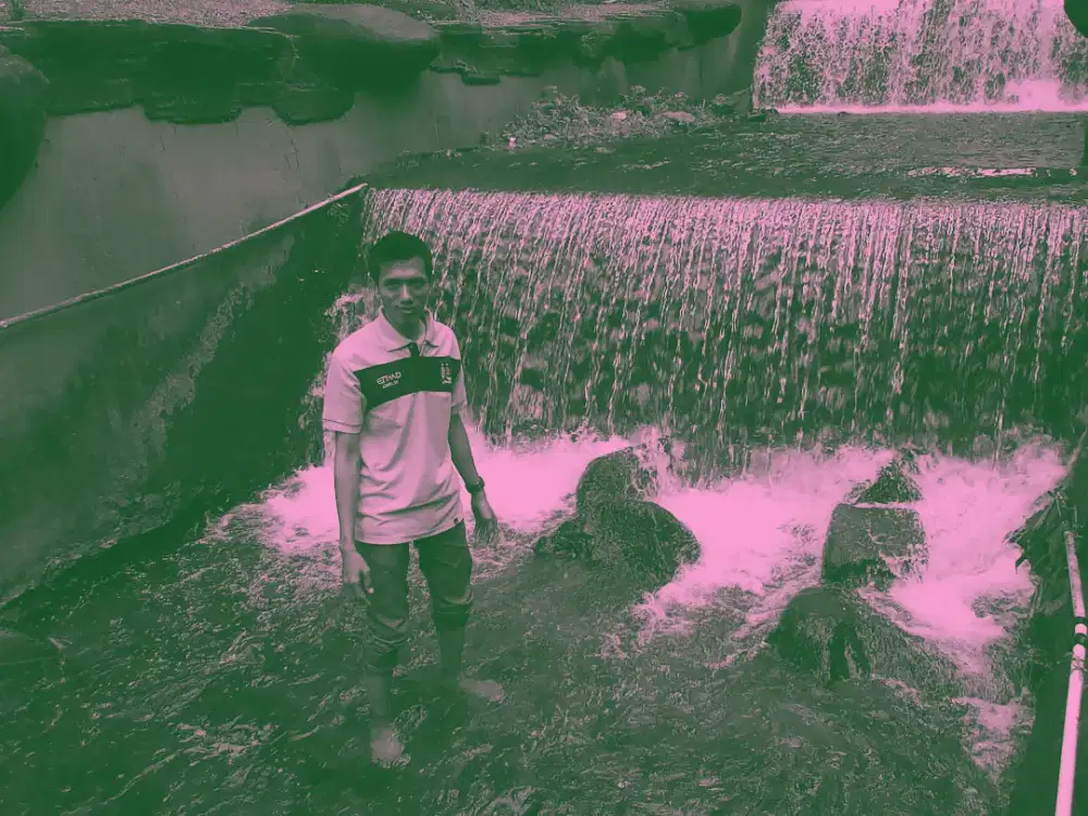 Jasa rental dan jasa supir