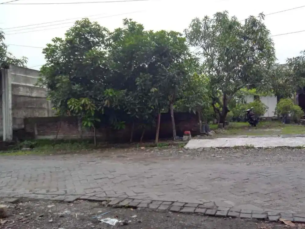 KUWUKAN LONTAR dekat Pakuwon Mall ‼️Jual Tanah Luas 474 m2 Bonus Bangunan Rumah