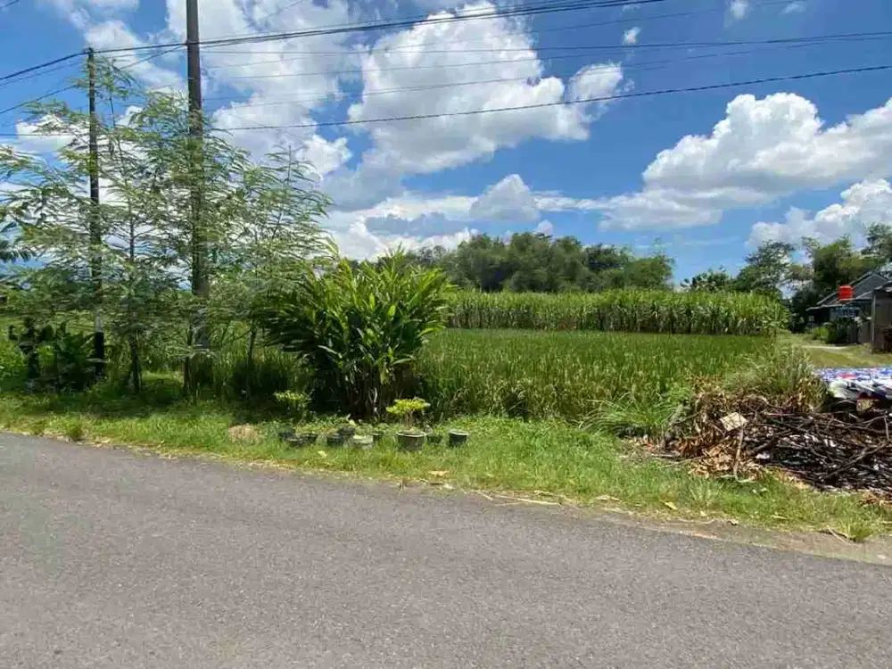 jual murah lahan bagus untuk bangun perumahan subsidi ,gudang di karanglo Mojowarno Jombang