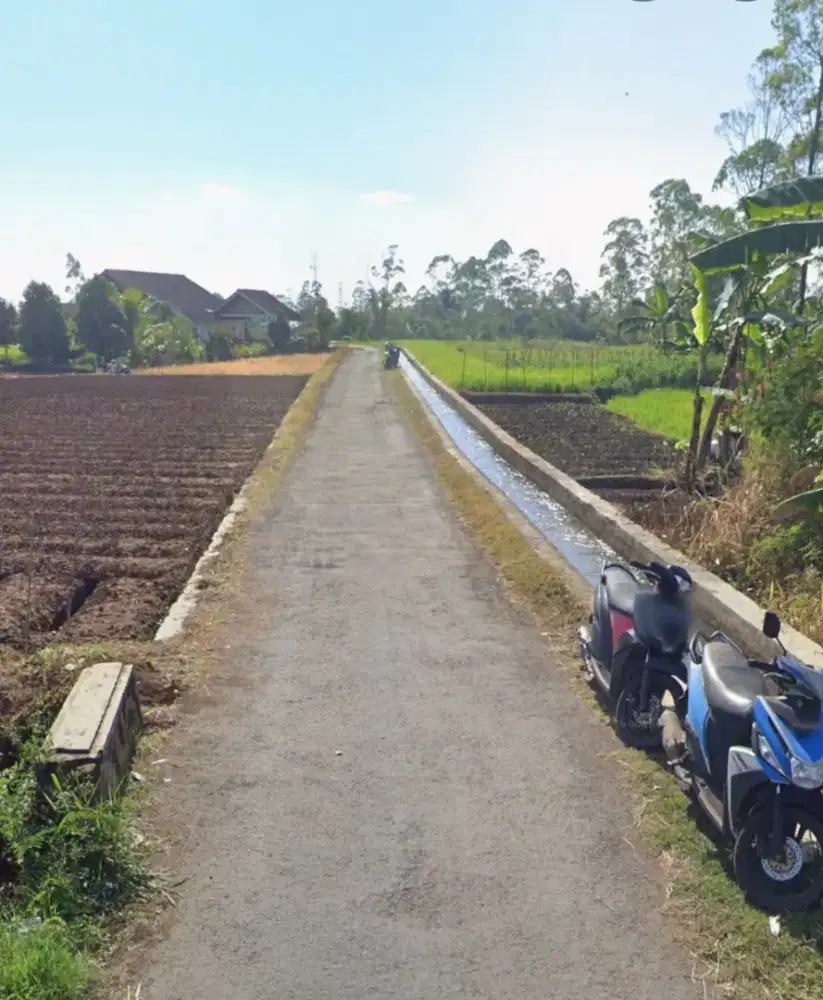 dijual sawah murah samping jl. desa