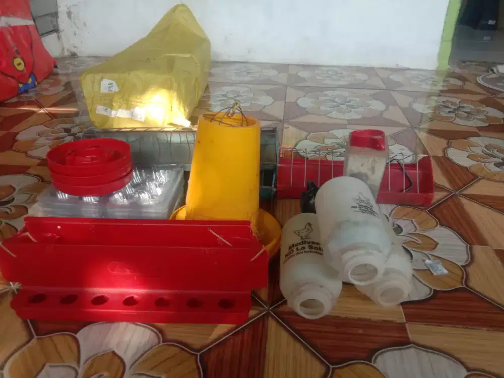 Tempat Makan Dan minum anak ayam