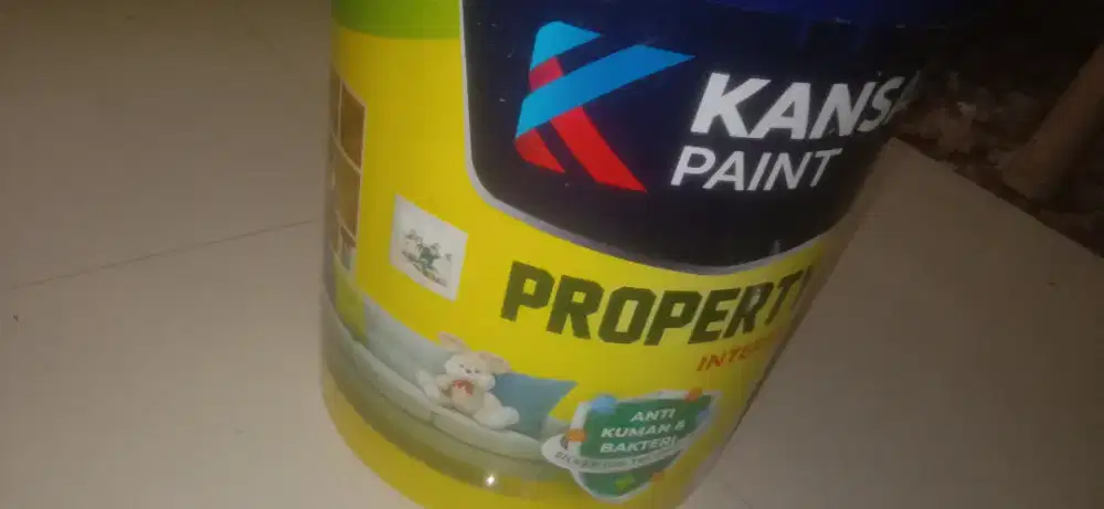 CATT KANSAI PAINT 2 PELL