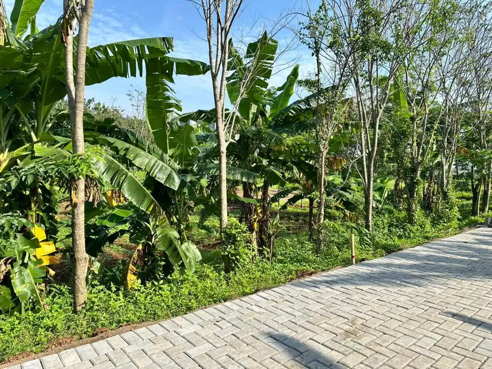 Tanah kavling jangli gabeng