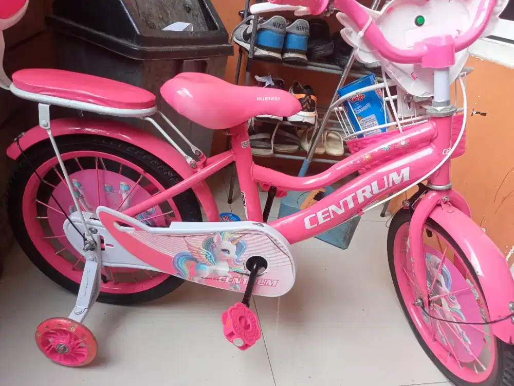 Sepedea centrum 16 inc