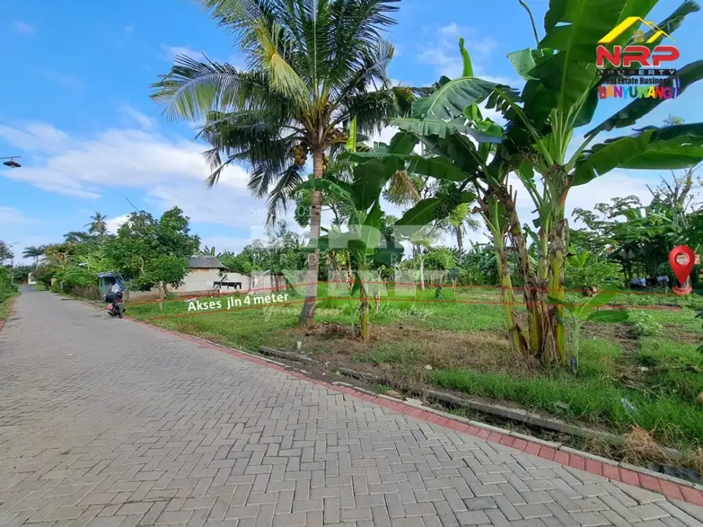 Dijual Tanah  Murah di Kawasan Perumahan Sobo - Banyuwangi.