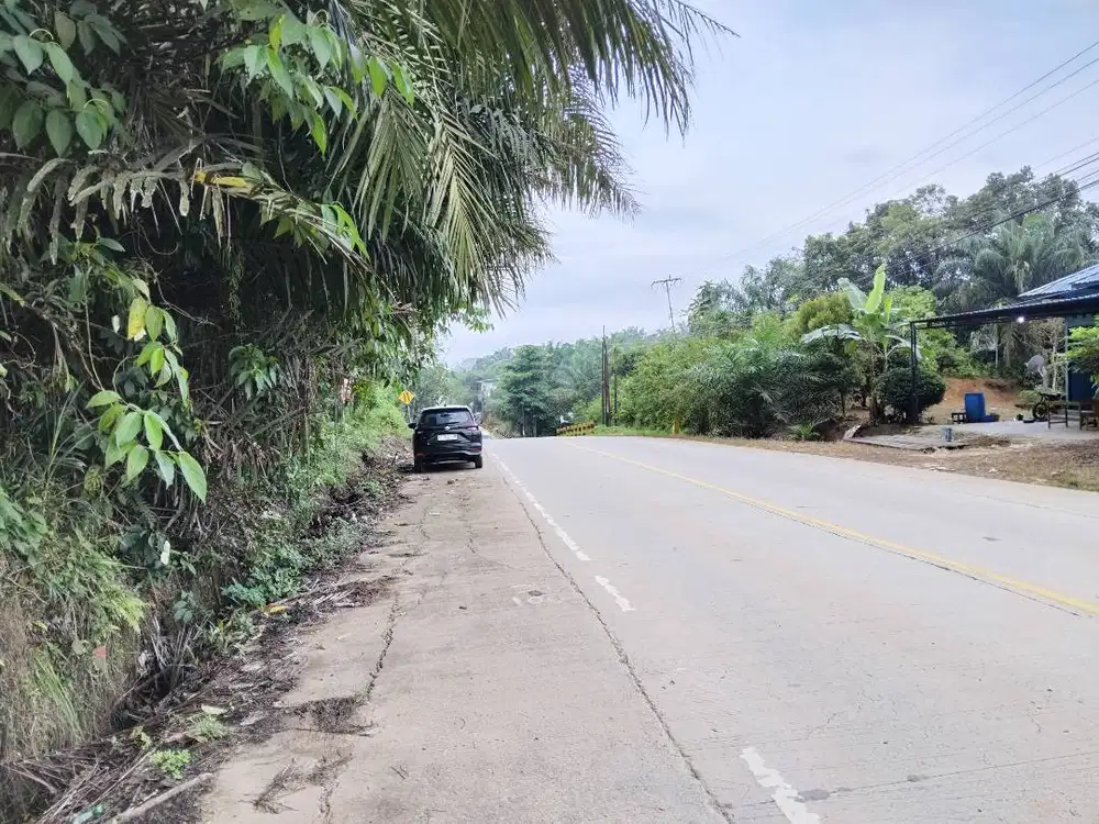 Tanah dijual area IKN