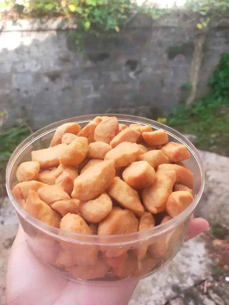 Biji Ketapang hari homemade